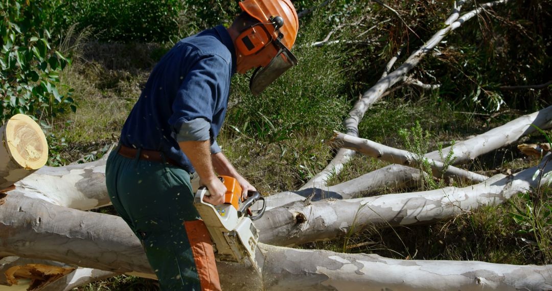Forestry Worker Using Chainsaw on Fallen Tree with Safety Gear