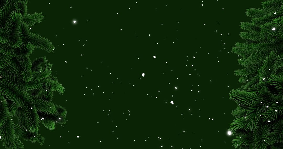 Festive Winter Background with Pine Branches and Snowflakes