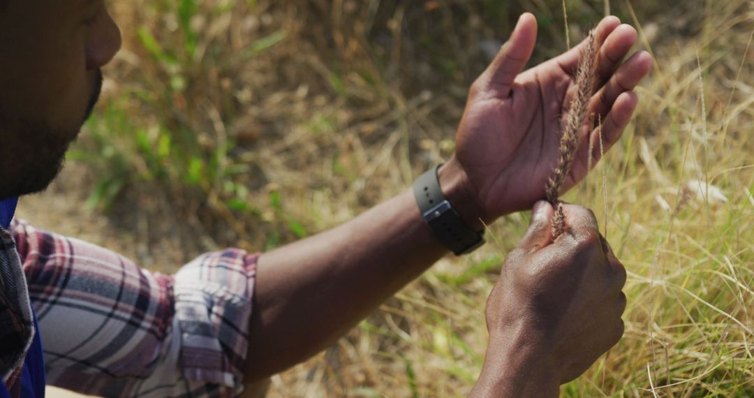 Close-Up of Black Man Examining Grass in Wilderness - Free Images, Stock Photos and Pictures on Pikwizard.com