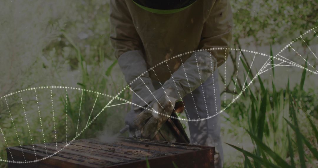 Beekeeper Tending Hive with DNA Helix Overlay in Organic Garden