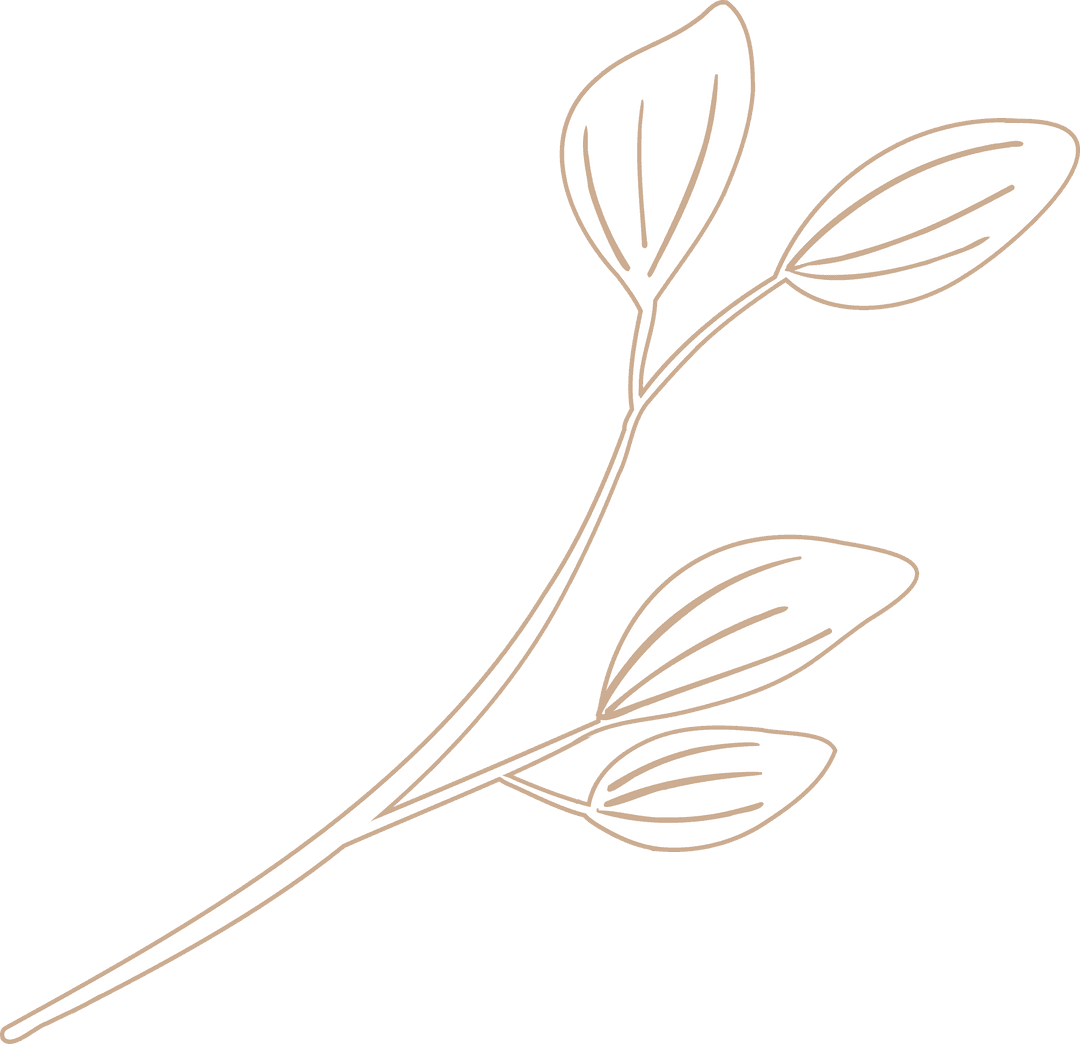 Elegant Botanical Line Art with Transparent Background