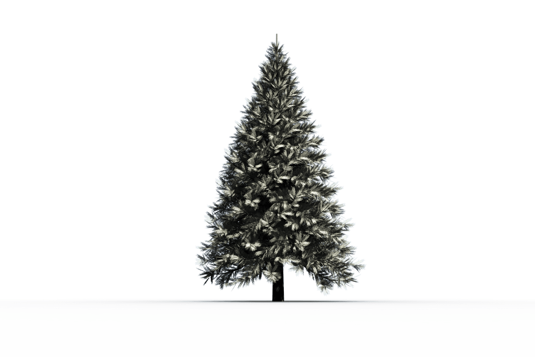 Snow-Covered Conifer Tree on Transparent Background
