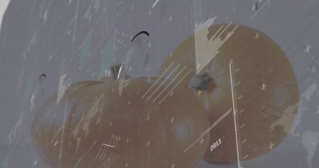 Glossy Orange Duo featuring Measurement Overlay and Data Lines, Macro Citrus Still Life