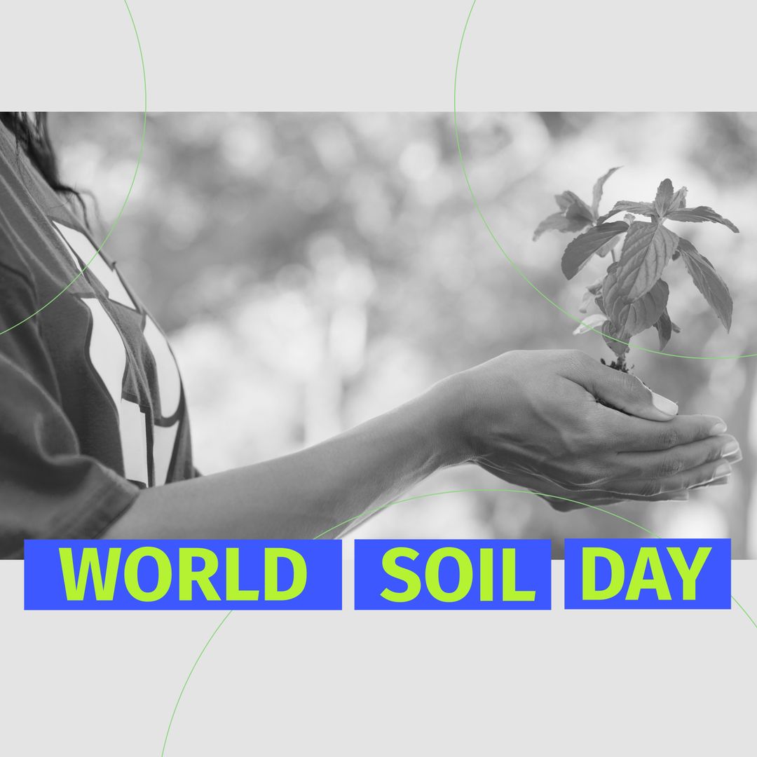 Celebrating World Soil Day with Plant Care