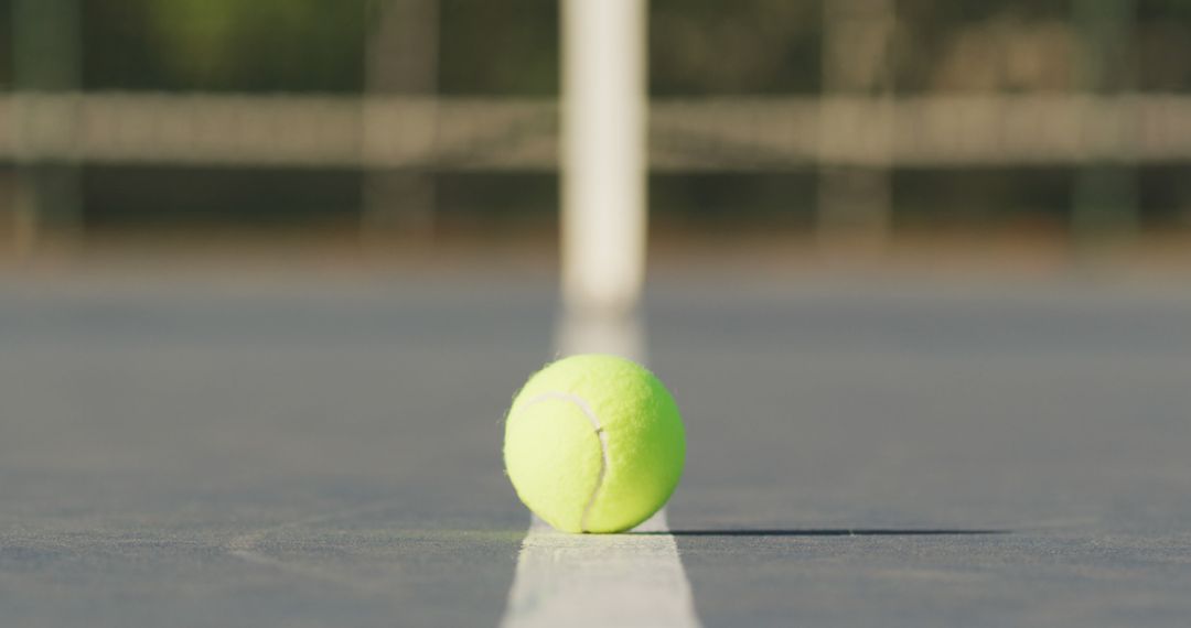 Image of tennis ball lying on tennis court - Free Images, Stock Photos and Pictures on Pikwizard.com