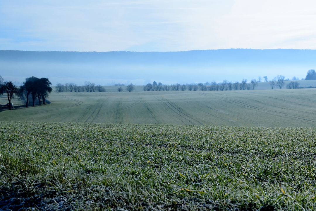 Serene Frosty Landscape of Morning Countryside - Free Images, Stock Photos and Pictures on Pikwizard.com