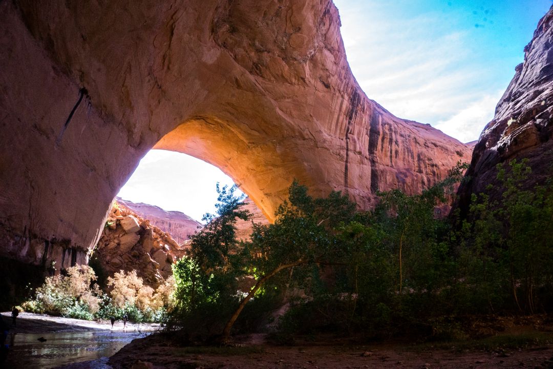 Natural Arch in Desert Canyon with Lush Vegetation - Free Images, Stock Photos and Pictures on Pikwizard.com