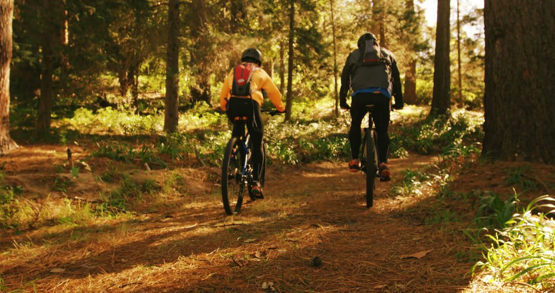 Cyclists navigating through a sunlit forest trail - Free Images, Stock Photos and Pictures on Pikwizard.com