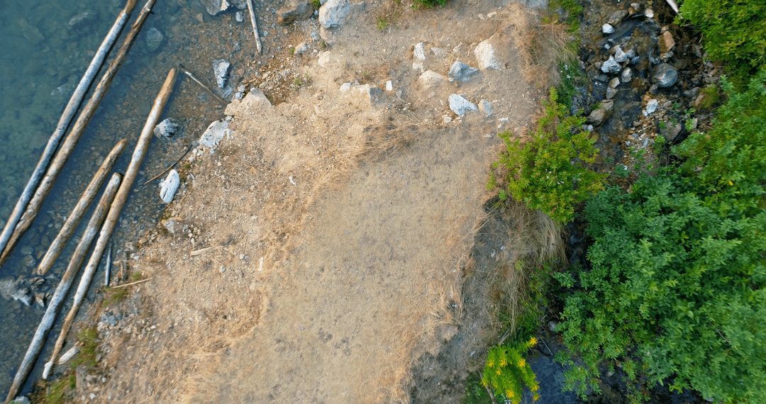 Transparent Riverbank and Forest Shore from Above