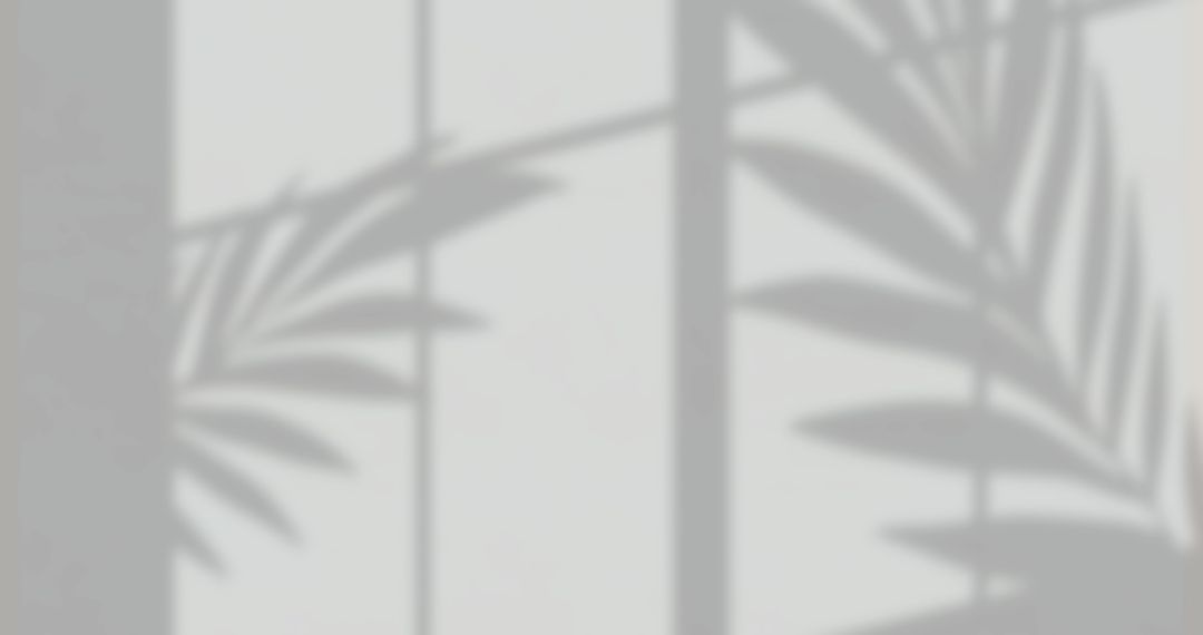 Soft Leaf Shadows Cast on Neutral Wall