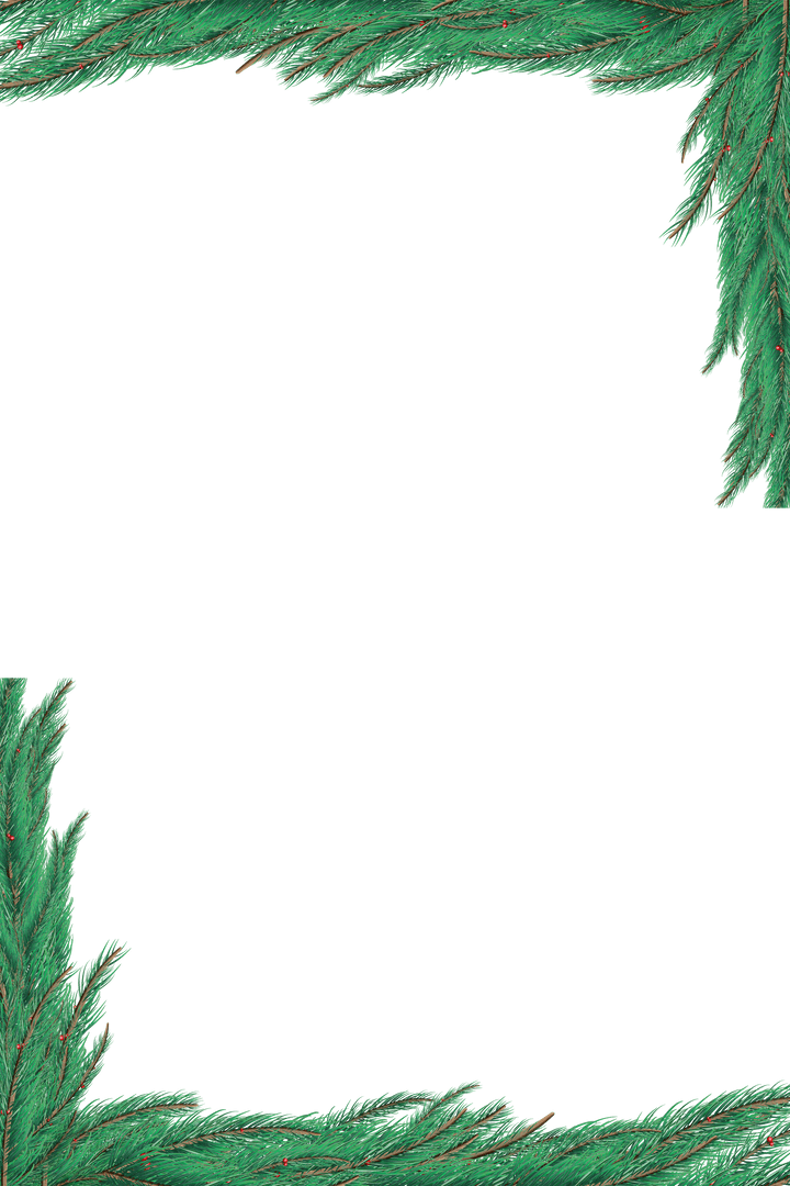 Transparent Christmas Fir Tree Branch Frame Border