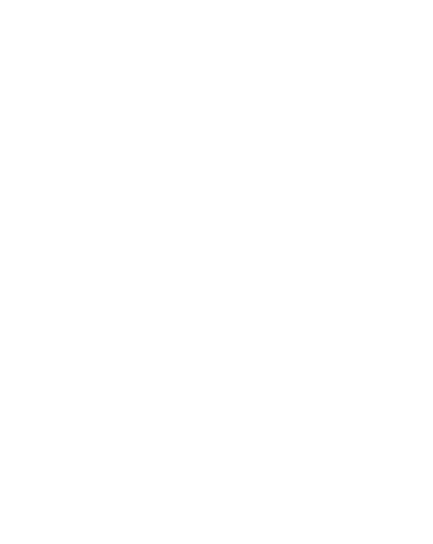 Winter Scene with Christmas Tree on Transparent Background