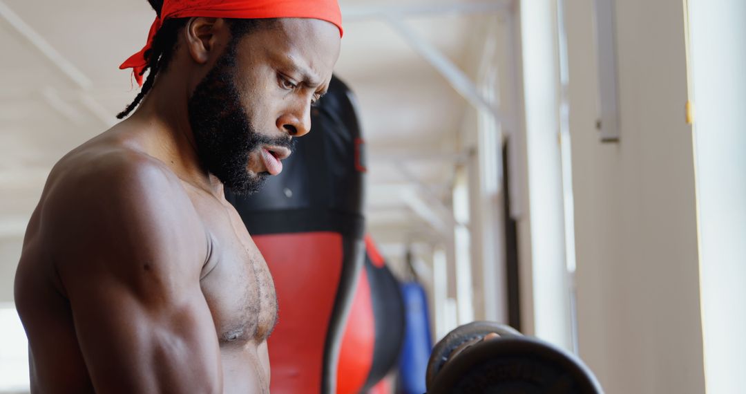 Determined Boxer Lifting Weights in Gym