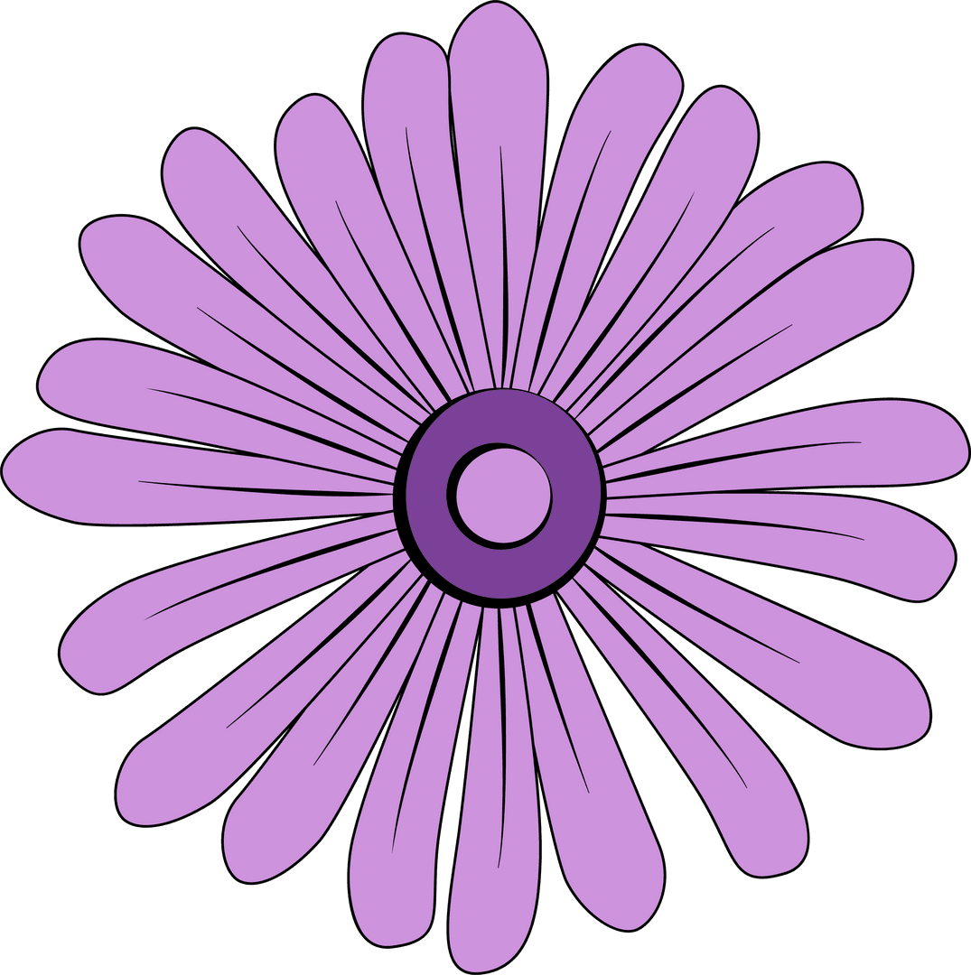Flat Purple Daisy Flower with Transparent Background