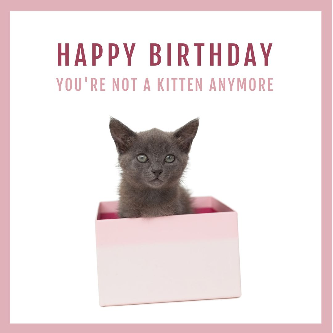 Adorable Kitten in Gift Box with Birthday Message