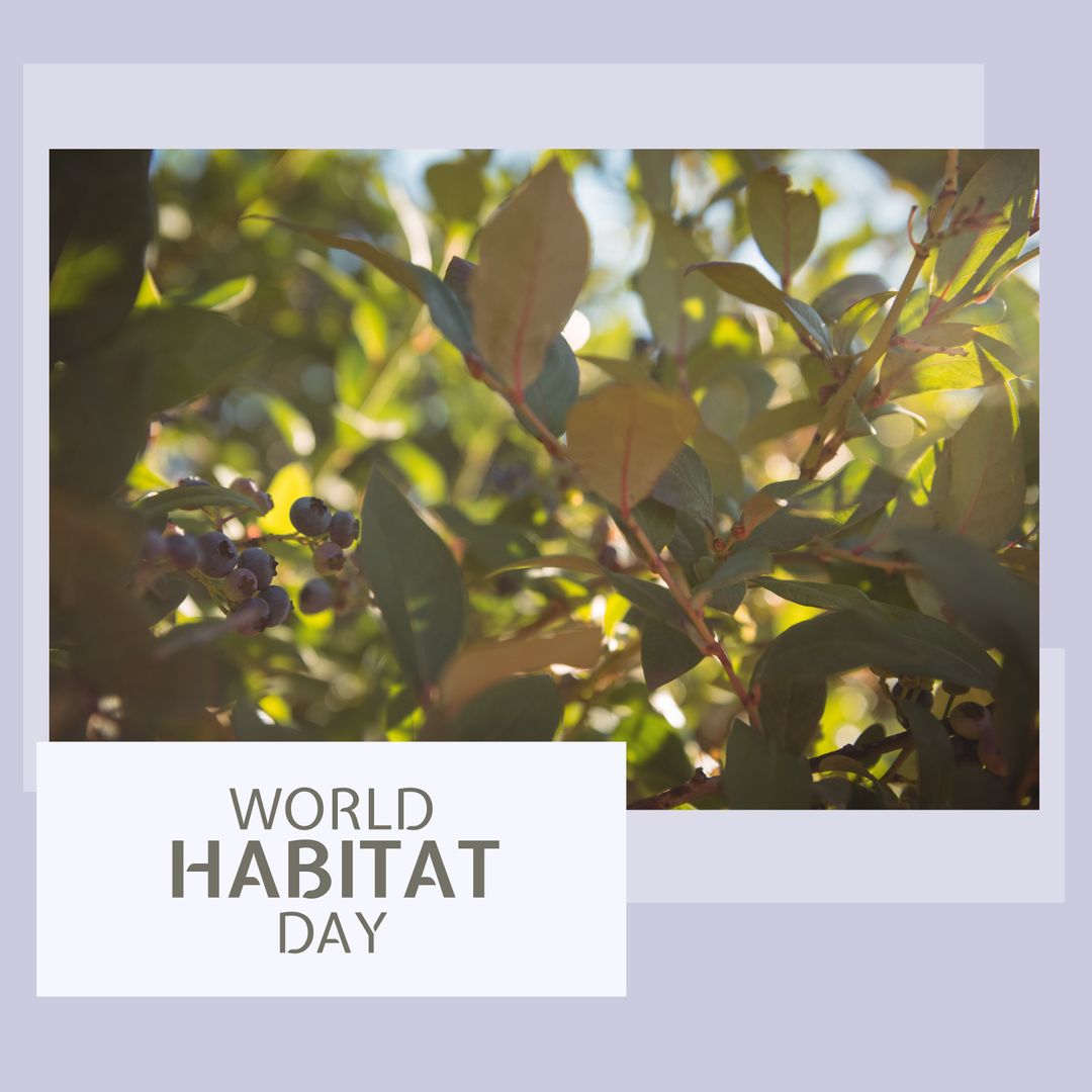 World Habitat Day Promotion with Lush Green Foliage and Berries