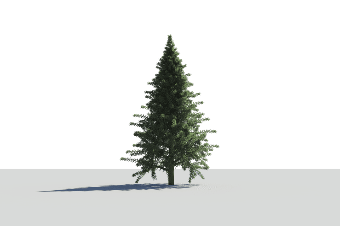 Realistic Christmas Tree Illustration on Transparent Background