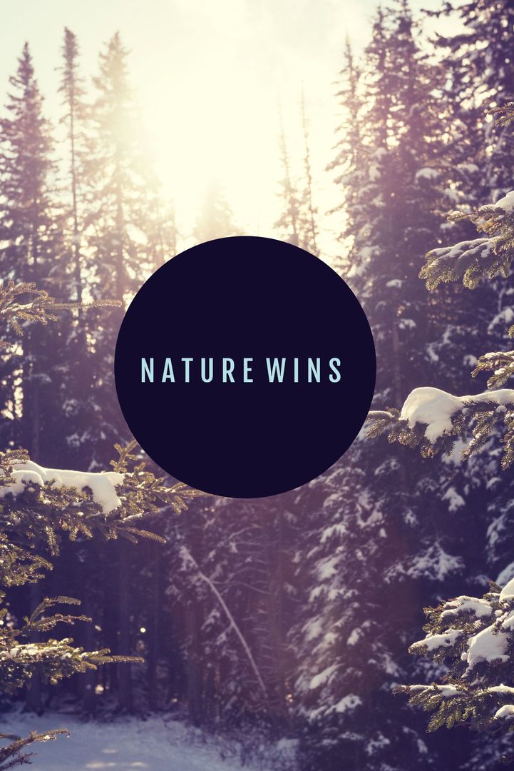 Serene Snowy Forest Highlighting Nature's Calm Triumph