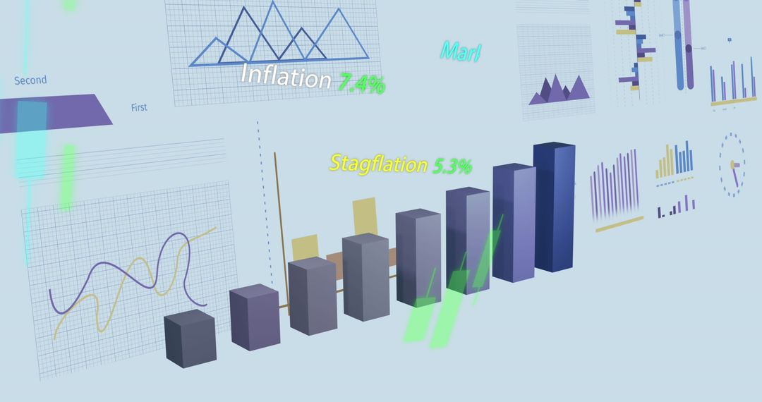 Financial Data Visualization with Bar Charts and Graphs