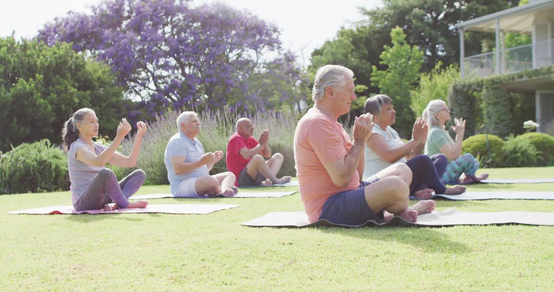 Group of Multi-Ethnic Seniors Practicing Yoga Outdoors in Park - Free Images, Stock Photos and Pictures on Pikwizard.com