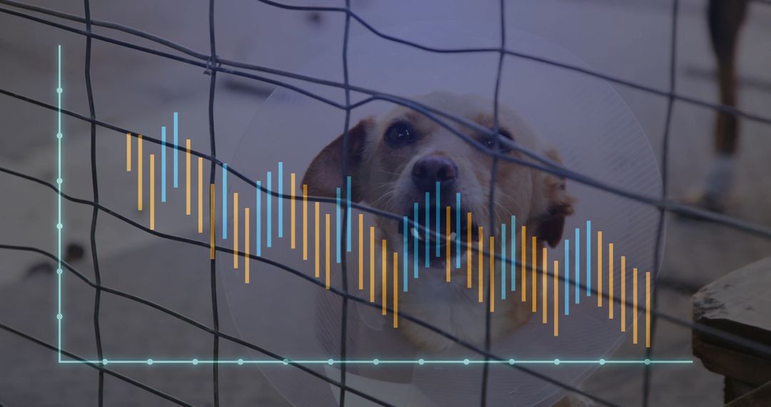 Sick Dog in Kennel Predictive Health Monitoring in Animal Shelter