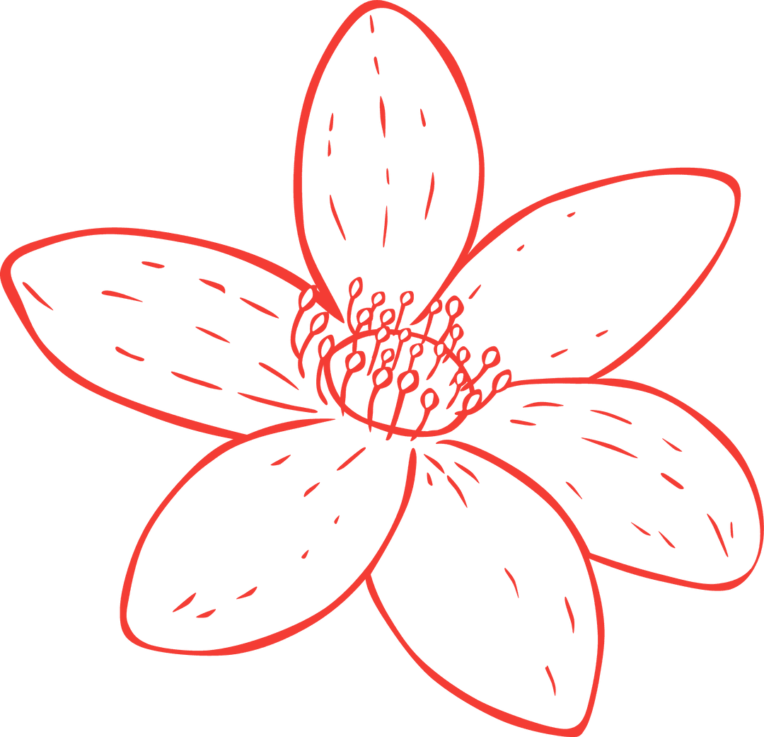 Red Stylized Line Art Flower on Transparent Background