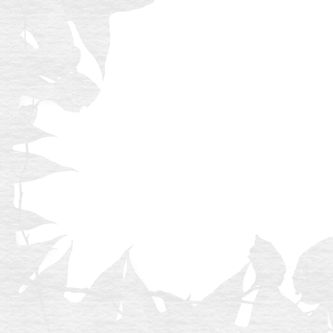 Transparent Leaf Silhouettes with Detailed Patterns