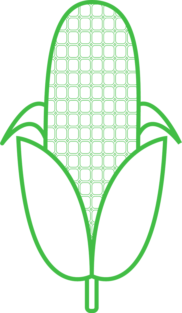 Green Corn Outline with Fluffy Kernel Grid on Transparent