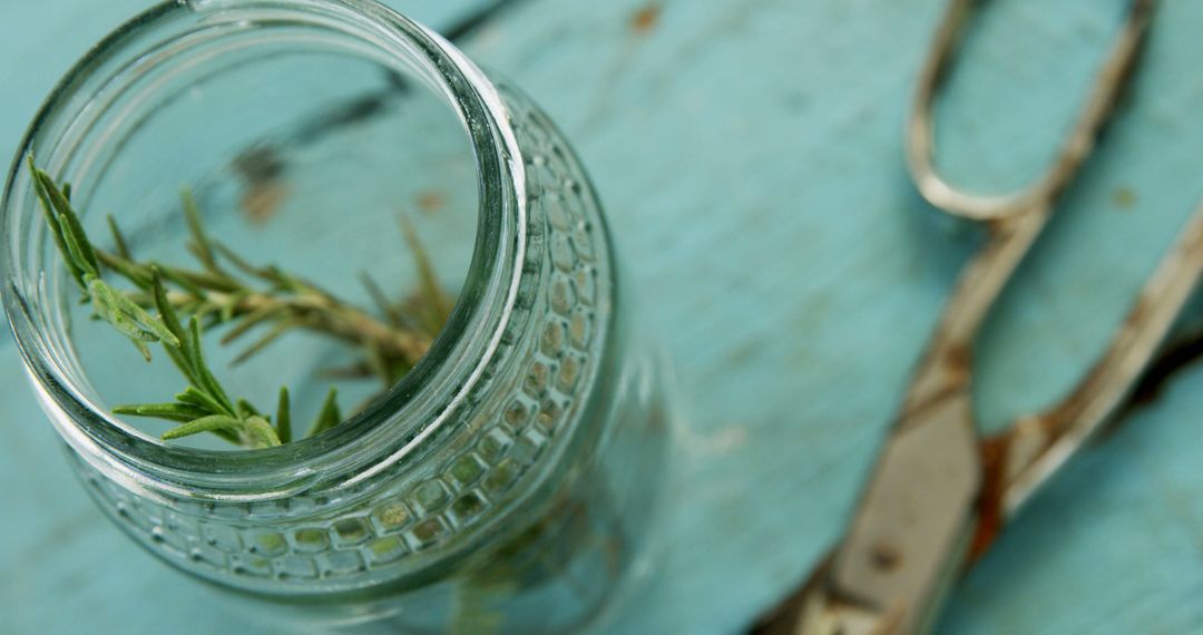 Fresh sprigs in glass jar on rustic table - Free Images, Stock Photos and Pictures on Pikwizard.com