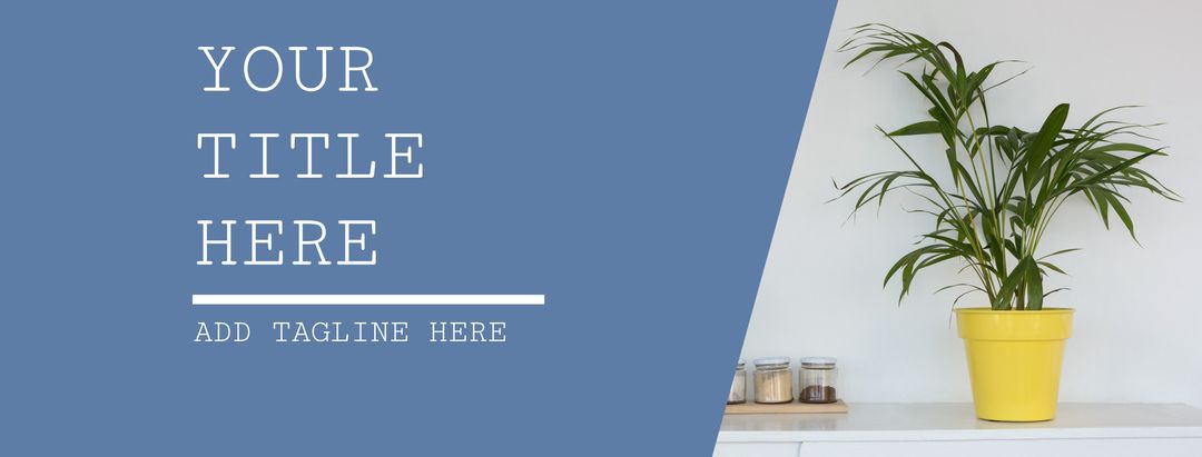 Serene Interior Design with Potted Plant for Tranquility