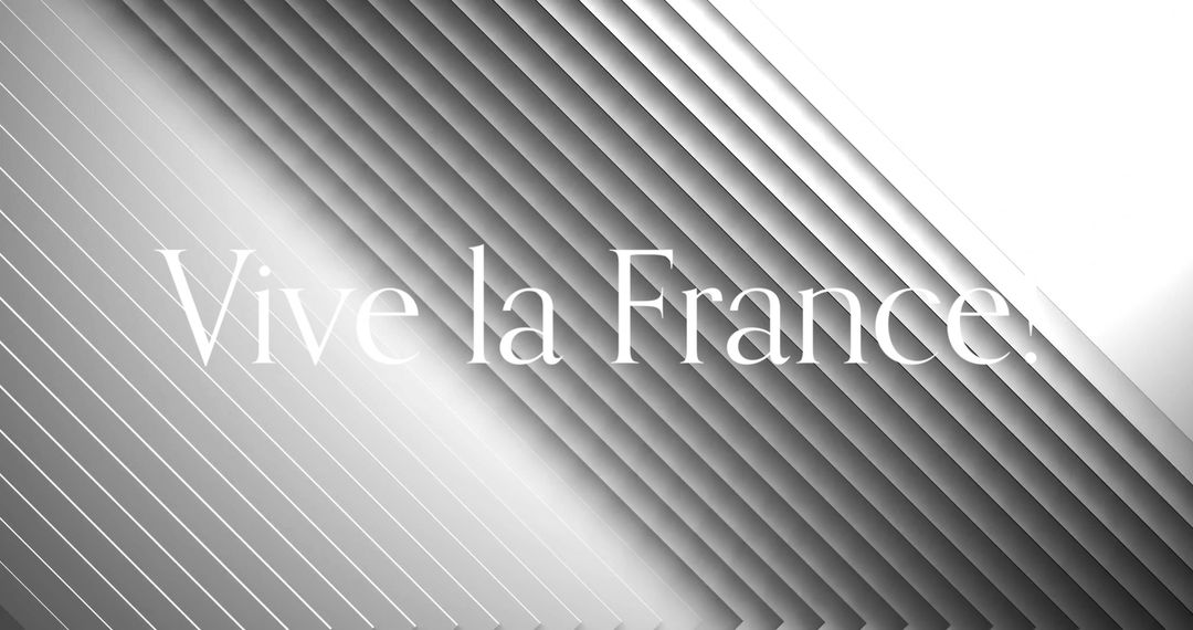 Modern Geometric Design with Vive la France Typography