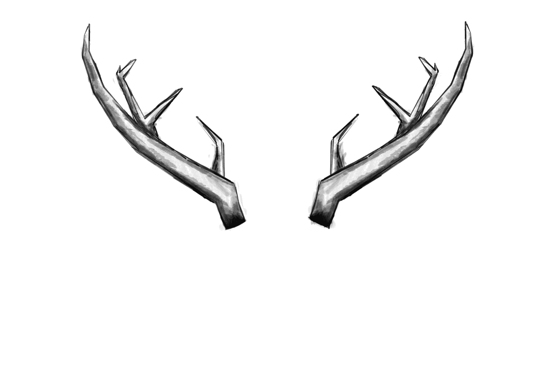 Transparent Antler Illustration with Realistic Details