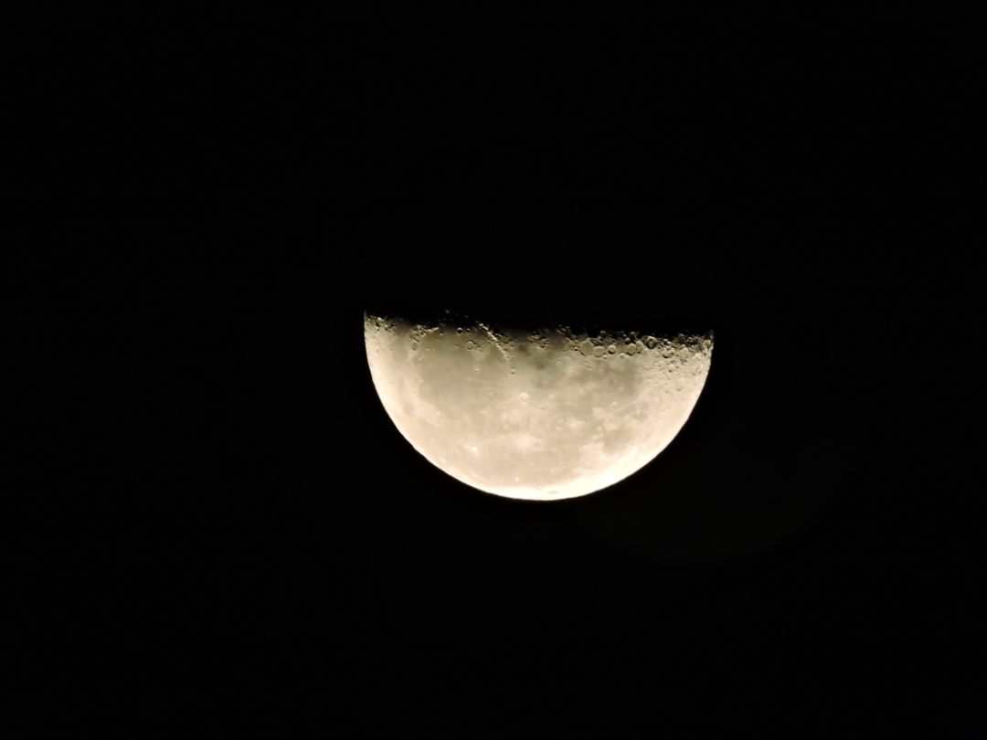 Half Moon Illuminates Night Sky - Free Images, Stock Photos and Pictures on Pikwizard.com