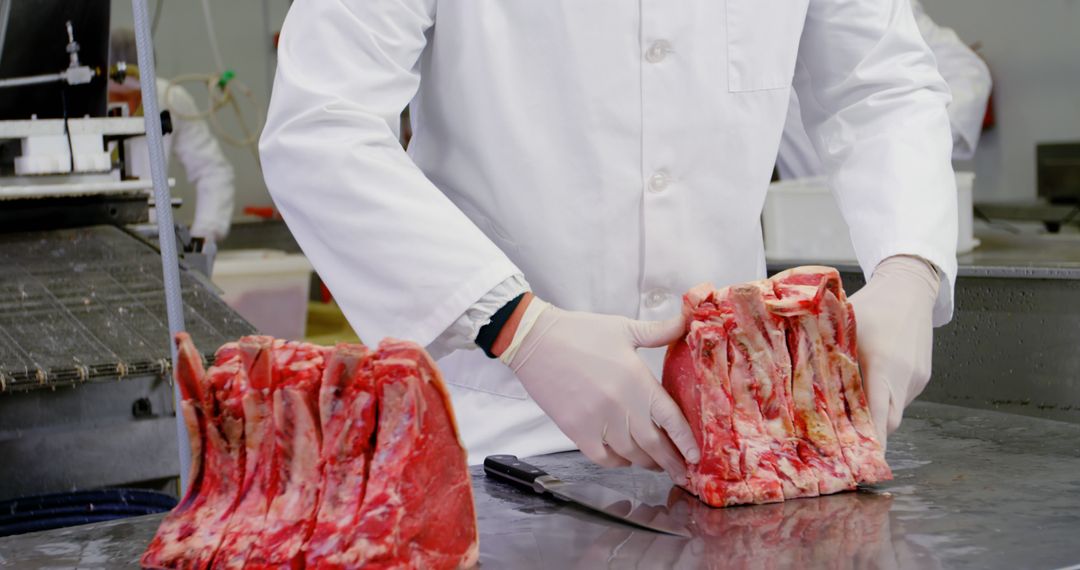 Butcher Preparing Meat Cuts in Slaughterhouse - Free Images, Stock Photos and Pictures on Pikwizard.com