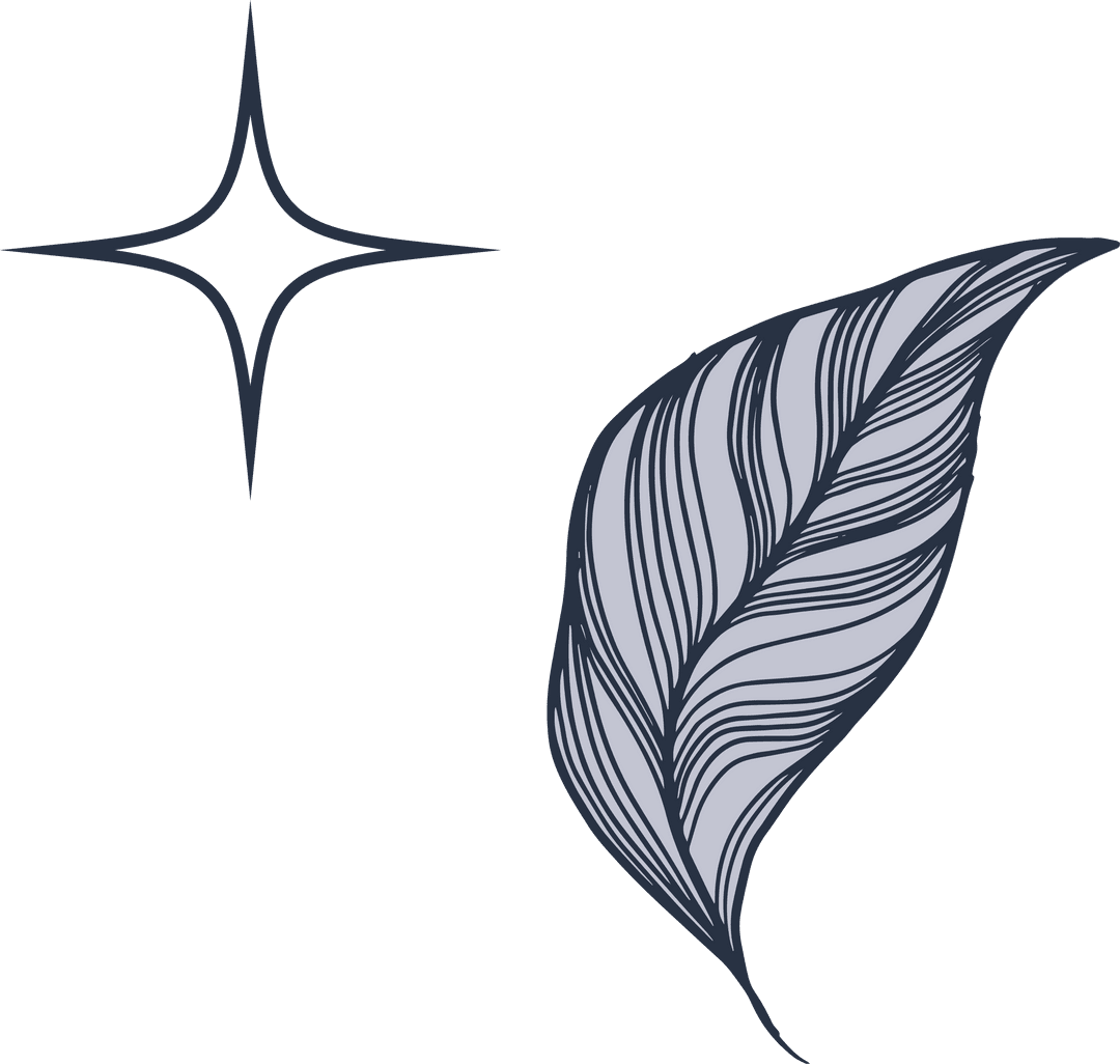 Stylized Botanical Leaf Illustration with Starburst Transparent Design