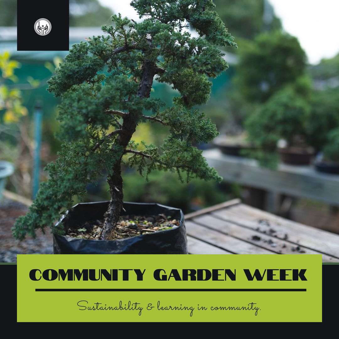 Community Garden Celebration with Bonsai Tree Focus