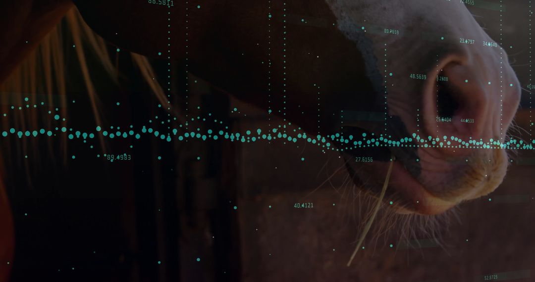 Horse Muzzle with Digital Data Overlay Near Stable Gift, Copy Space