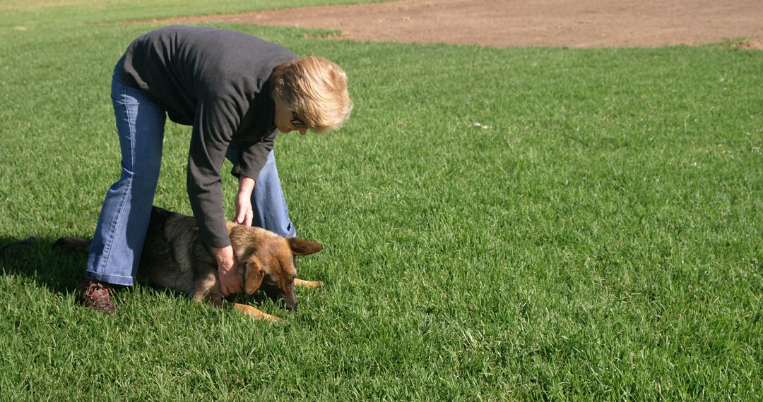 Woman Training Dog in Park on Green Grass - Free Images, Stock Photos and Pictures on Pikwizard.com