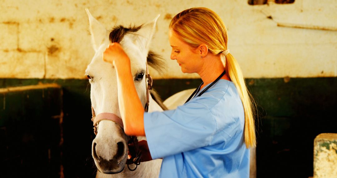 Female Veterinarian Examining White Horse in Stable - Free Images, Stock Photos and Pictures on Pikwizard.com