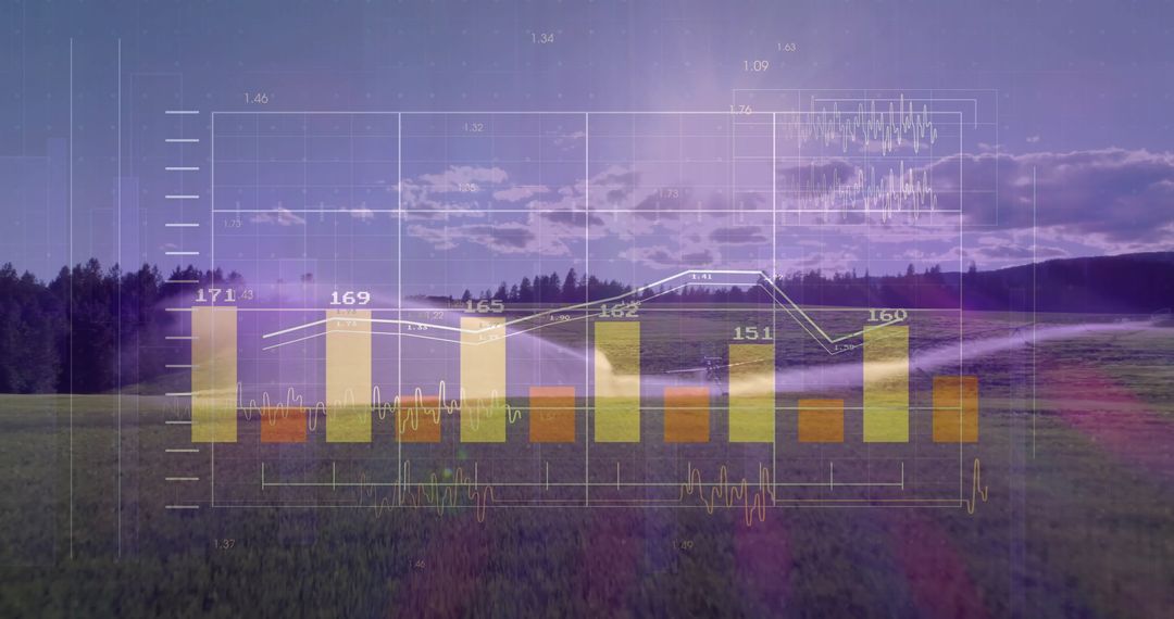 Data Visualization Over Sunset Meadow with Graph Elements