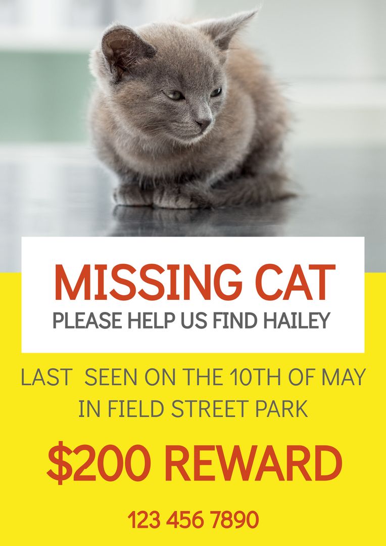 Missing Cat Reward Poster with Contact Information and Kitten Background - Download Free Stock Templates Pikwizard.com
