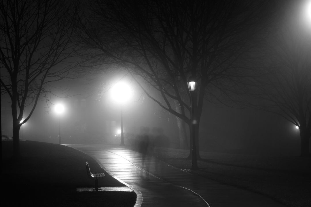 Foggy Night Park with Pathway and Lamp Posts - Free Images, Stock Photos and Pictures on Pikwizard.com