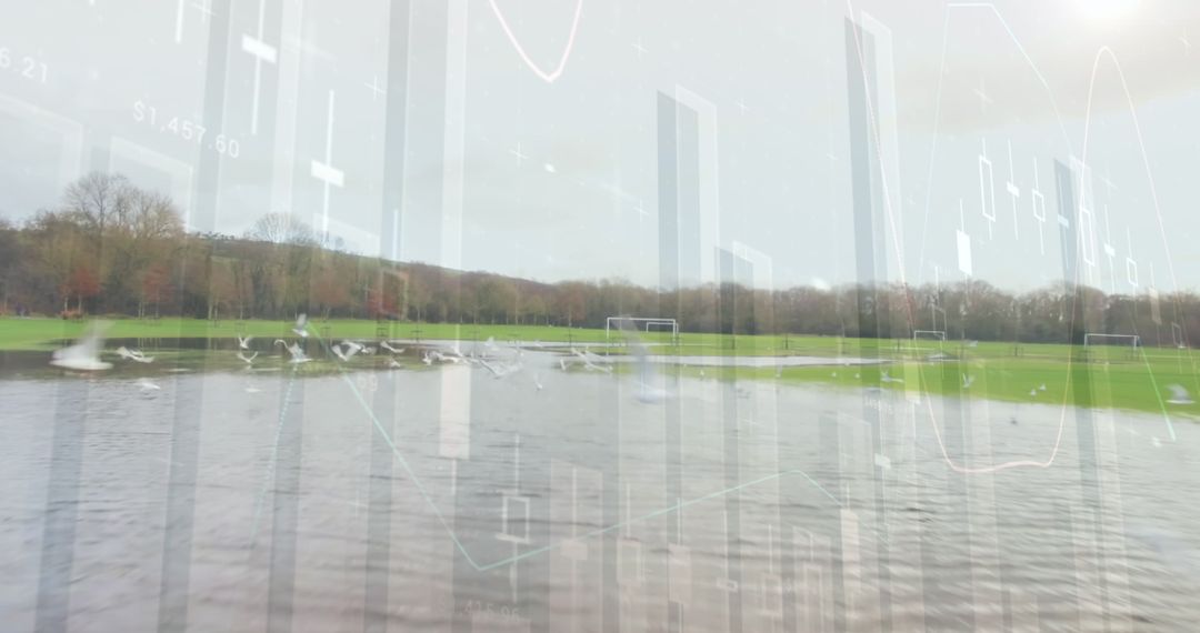 Digital Graphs Overlap Natural Landscape Merging Finance and Nature