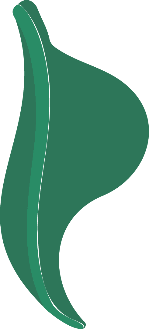 Abstract Green Fluid Shape with Curved Design on Transparent Background