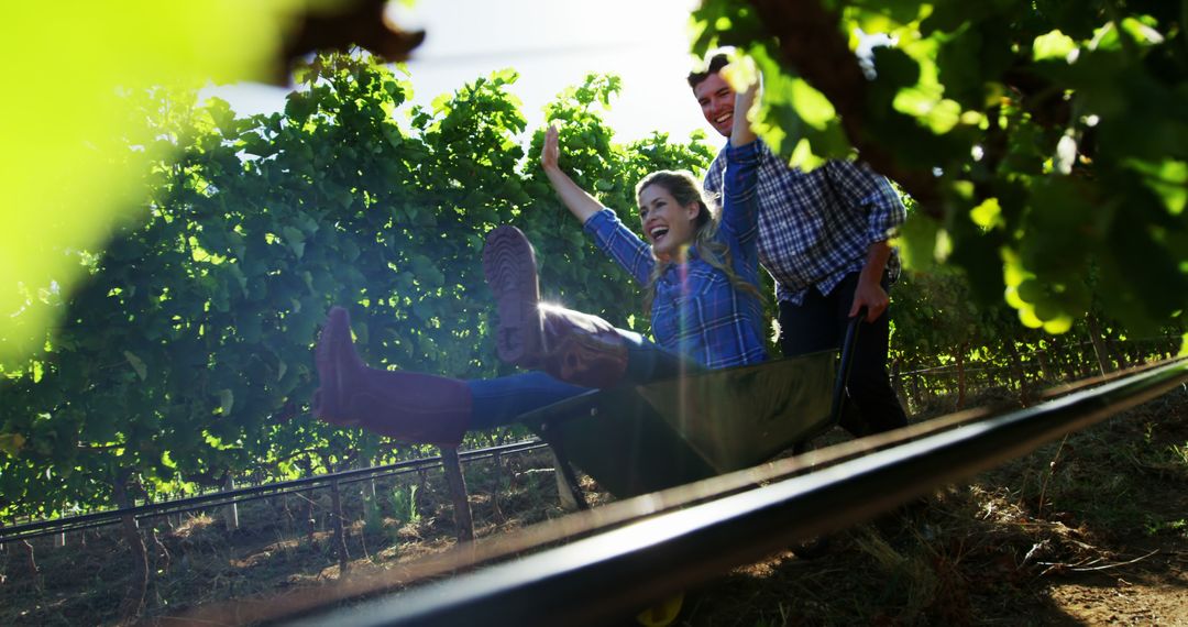 Joyful Ride in Vineyard on Sunny Day