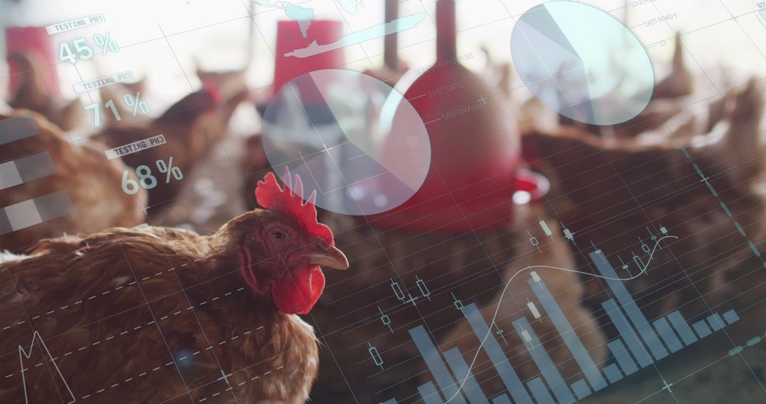 Financial Analytics Overlay on Modern Poultry Farm Scene