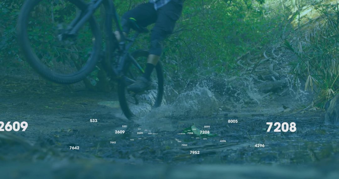 Mountain Biker Navigating Forest Stream Trail Adventure