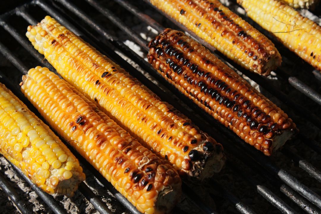 Grilling Corn on Cob with Smoky Char Marks and Golden Kernels