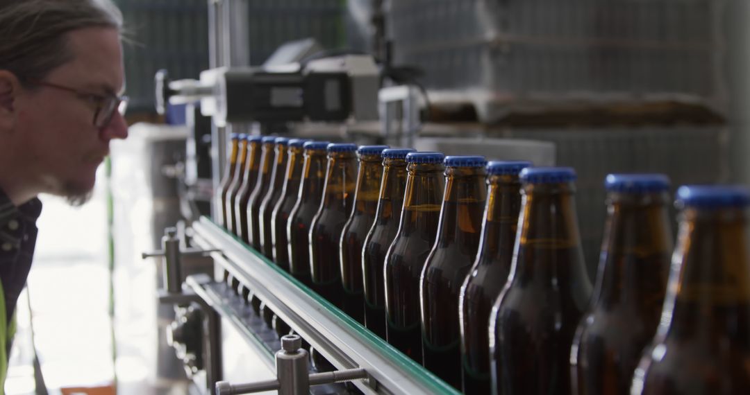 A brewery worker inspects bottles on the production line. - Free Images, Stock Photos and Pictures on Pikwizard.com