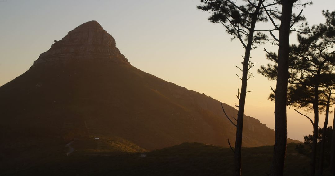 Sunset Silhouette of Lone Mountain with Pinestrees